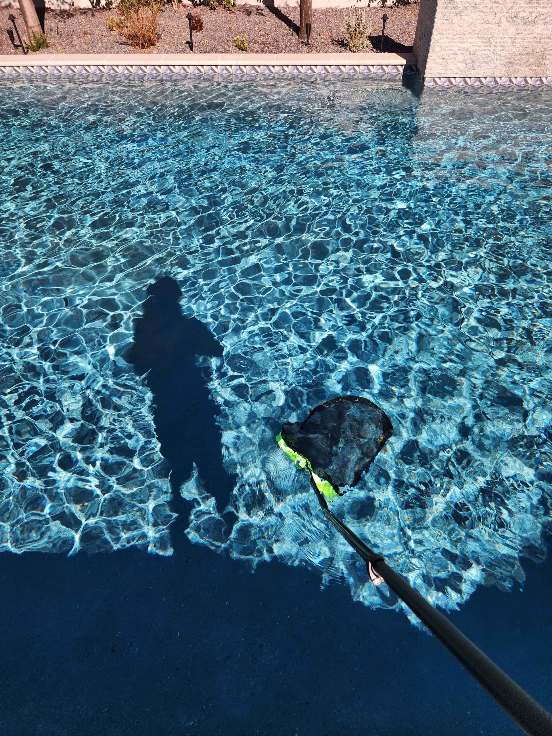 Gallery image with a fresh perspective